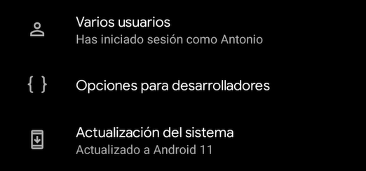 Ajustes del sistema con la nueva entrada Opciones para desarrolladores