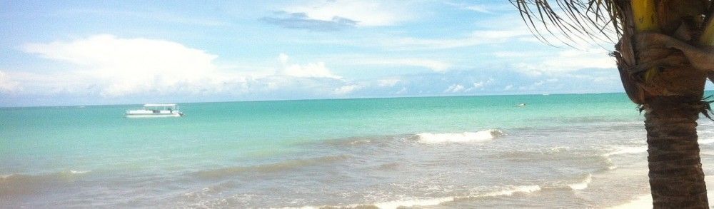 hibiscus-beach-988567_1280